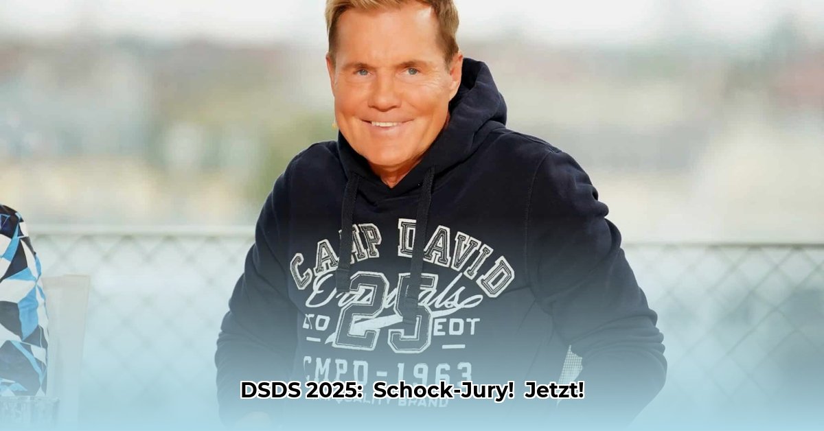 dsds-jury